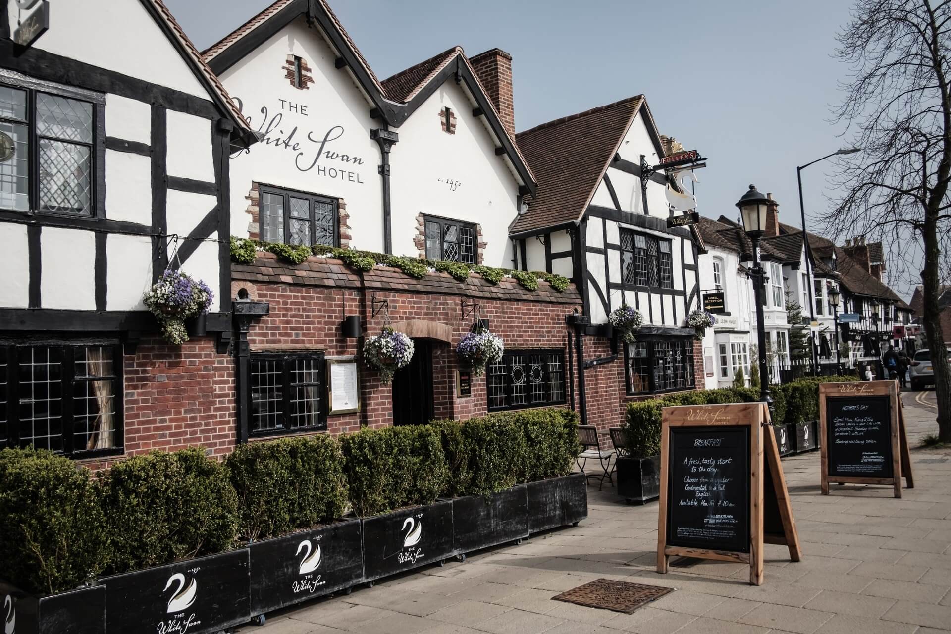The White Swan