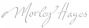 Wedding DJ Morley Hayes